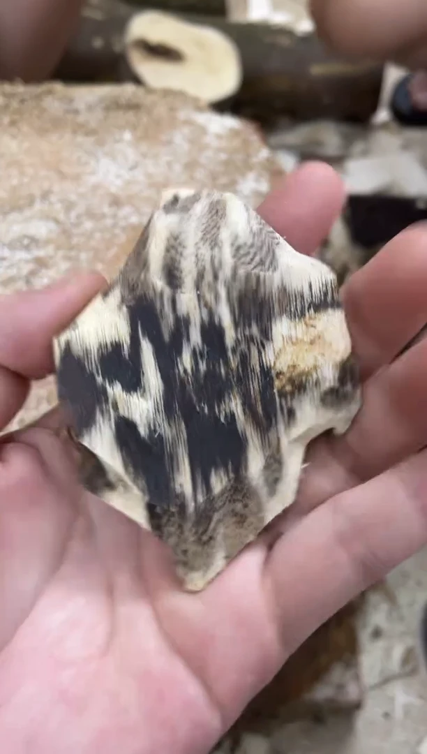 沉香沉香碎屑棋楠沉香 原料文创1