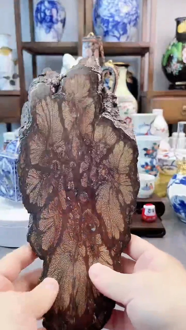 瓷片日产樱皮实木干泡台