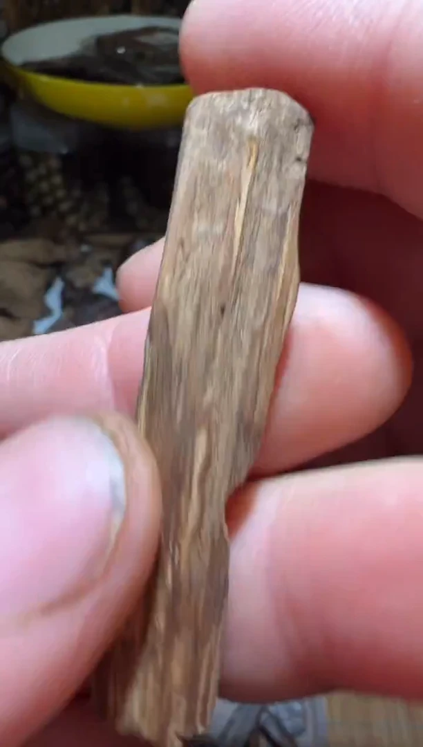 沉香沉香碎屑莱特0.8克