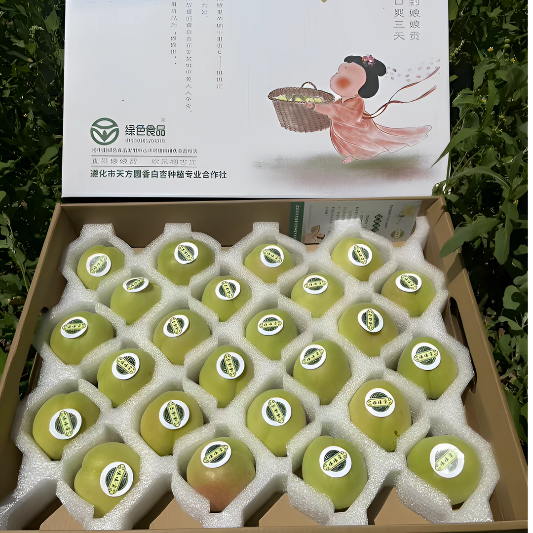 娘娘贡【精品贡杏】邮政专属产地直发新鲜现摘正宗水果遵化相古庄