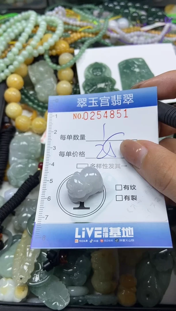 颈饰未镶嵌翡翠闪购C0254851