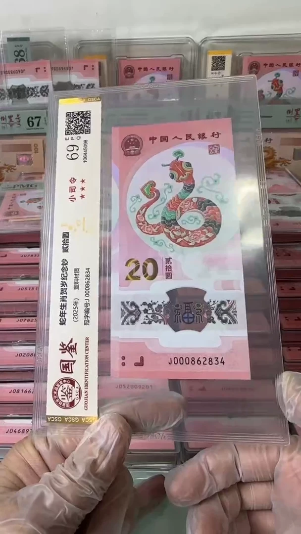 【闪购商品】塑料000862834-蛇钞单张！