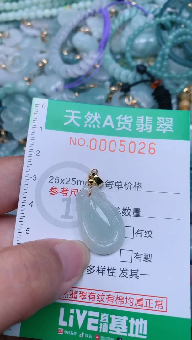 翡翠未镶嵌颈饰.0005026