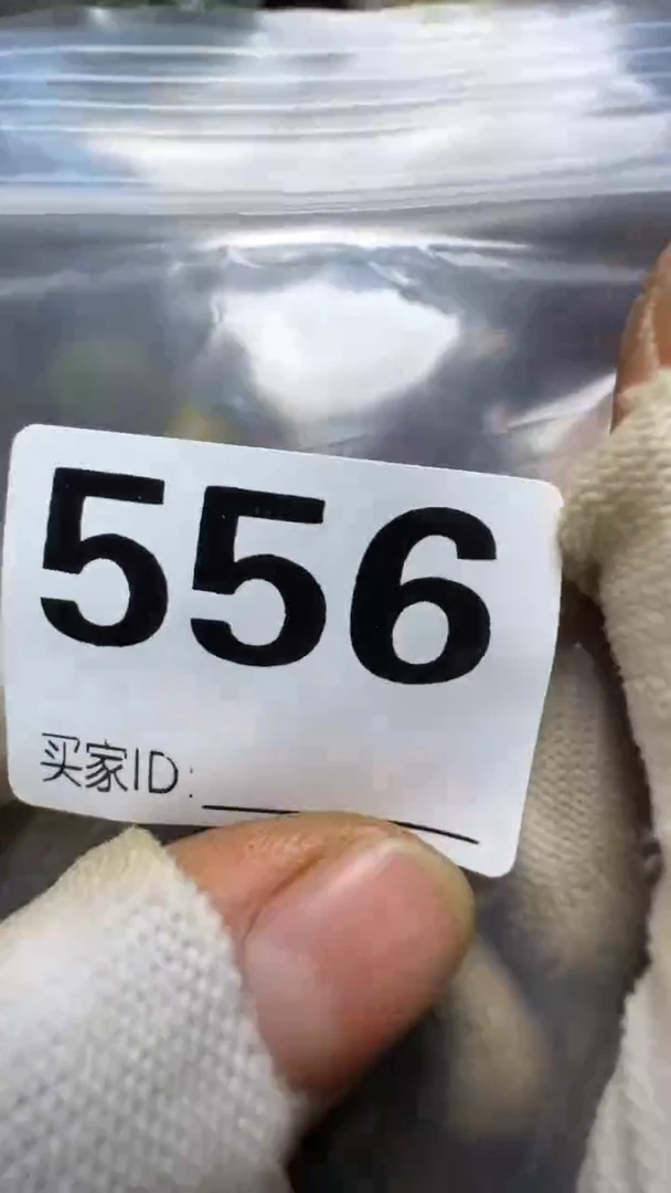 添****油佳合创意屋专属链接