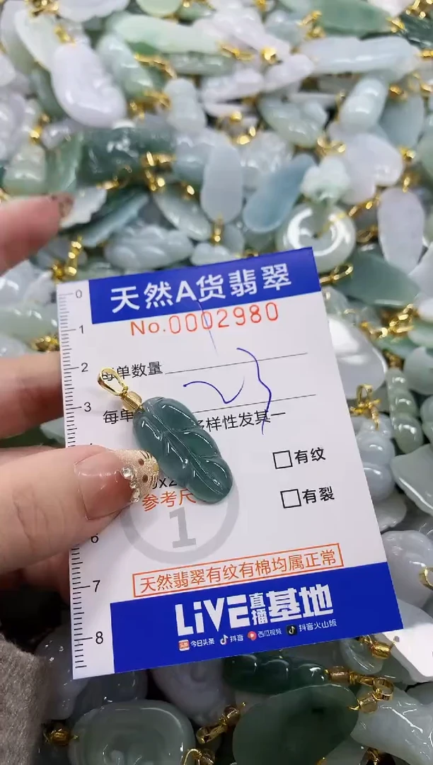 颈饰未镶嵌翡翠天然A货翡翠