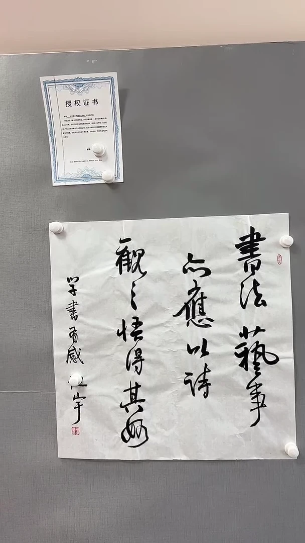 【闪购商品】书法雅艺典藏文化书法