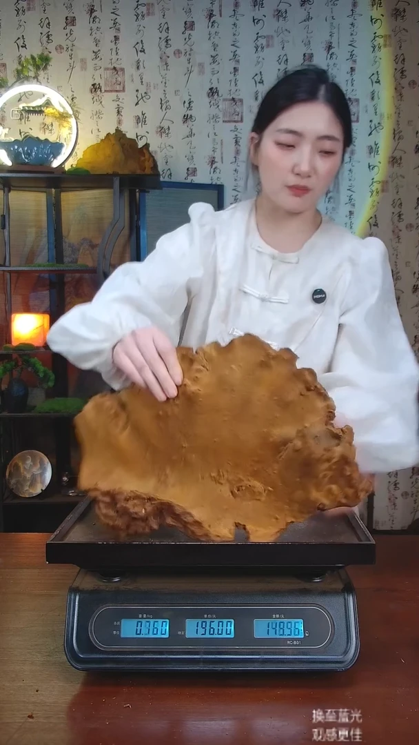 松针层孔菌中国大陆【藏区 野生】松树桑黄（2.24斤）30-40年份