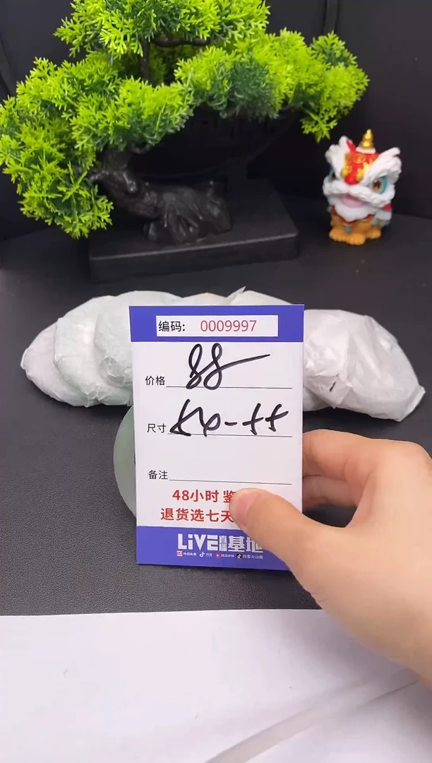 未镶嵌手镯翡翠0009997