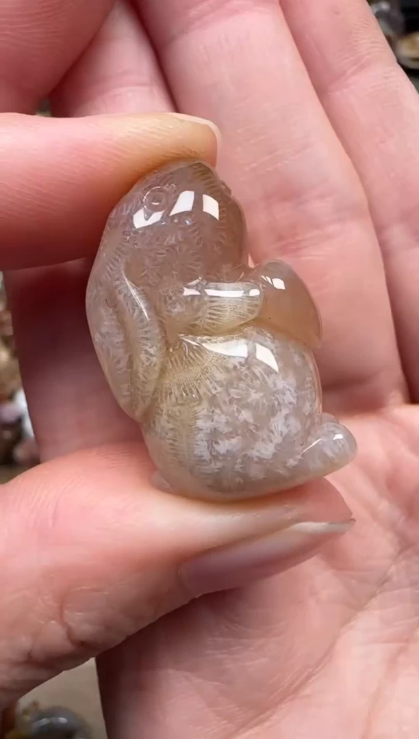 颈饰未镶嵌硅化珊瑚（珊瑚玉）184