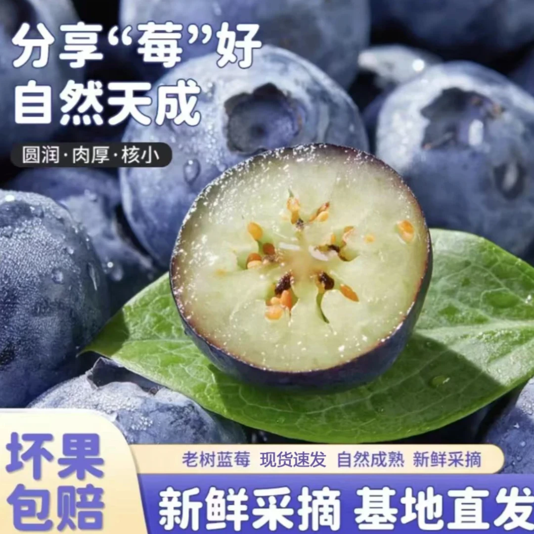 【拍3盒送3盒】云南花香蓝莓新鲜现摘京东生鲜专链送货上门s