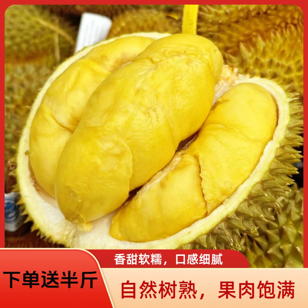 下单就送半斤纯肉【南宁同城】泰国树熟金枕核小肉厚新鲜现开纯果肉1-3斤  金枕泰国