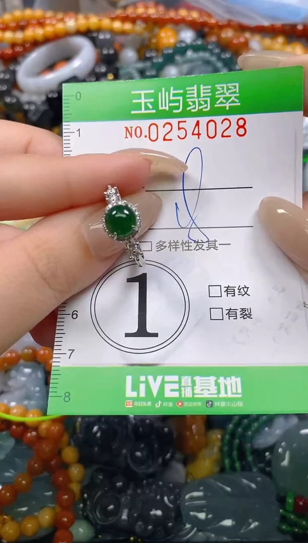 颈饰未镶嵌翡翠闪购0254028