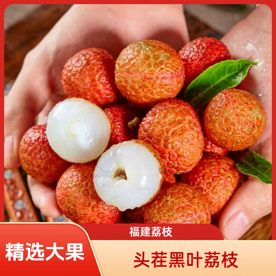 福建老树黑叶乌叶荔枝新鲜现摘小枝叶发货带箱5斤水果爆甜多汁