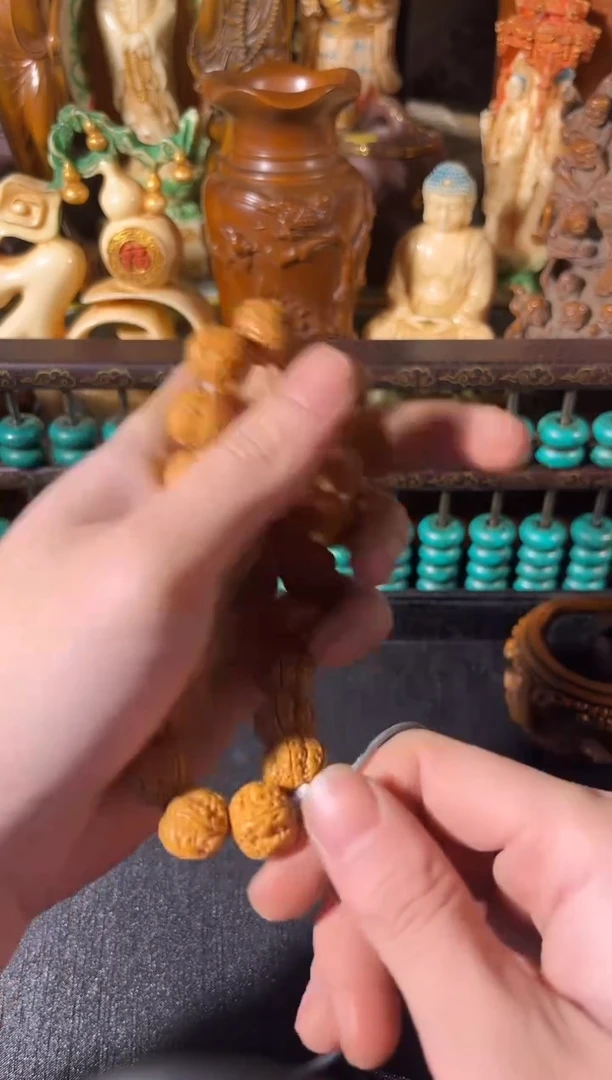 黄杨木1111111111111