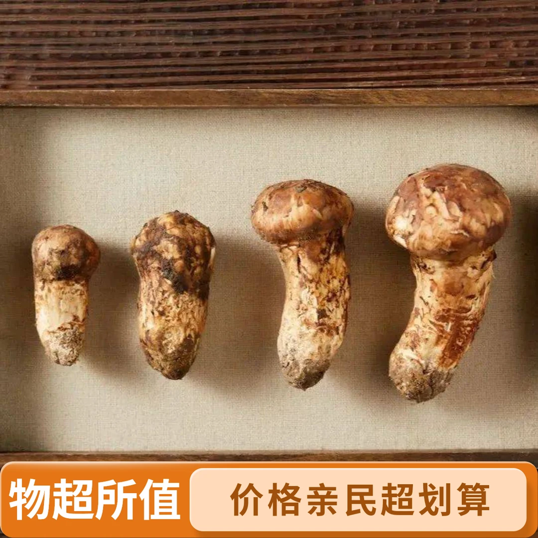 云南香格里拉特产松茸珍贵食材冷链现发