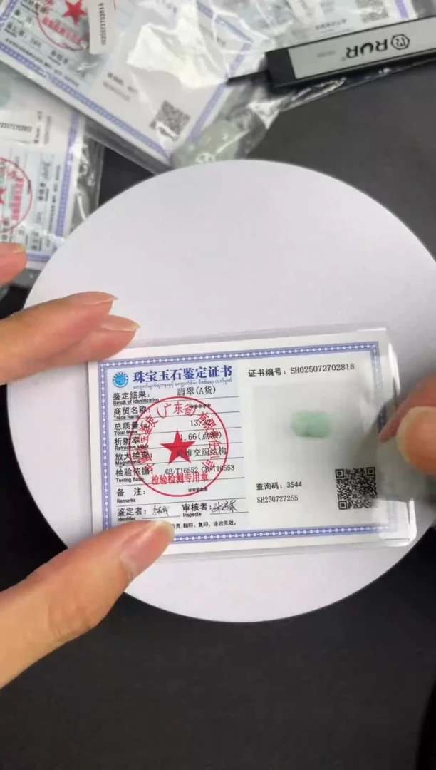 翡翠未镶嵌吊坠(不含链)貔貅