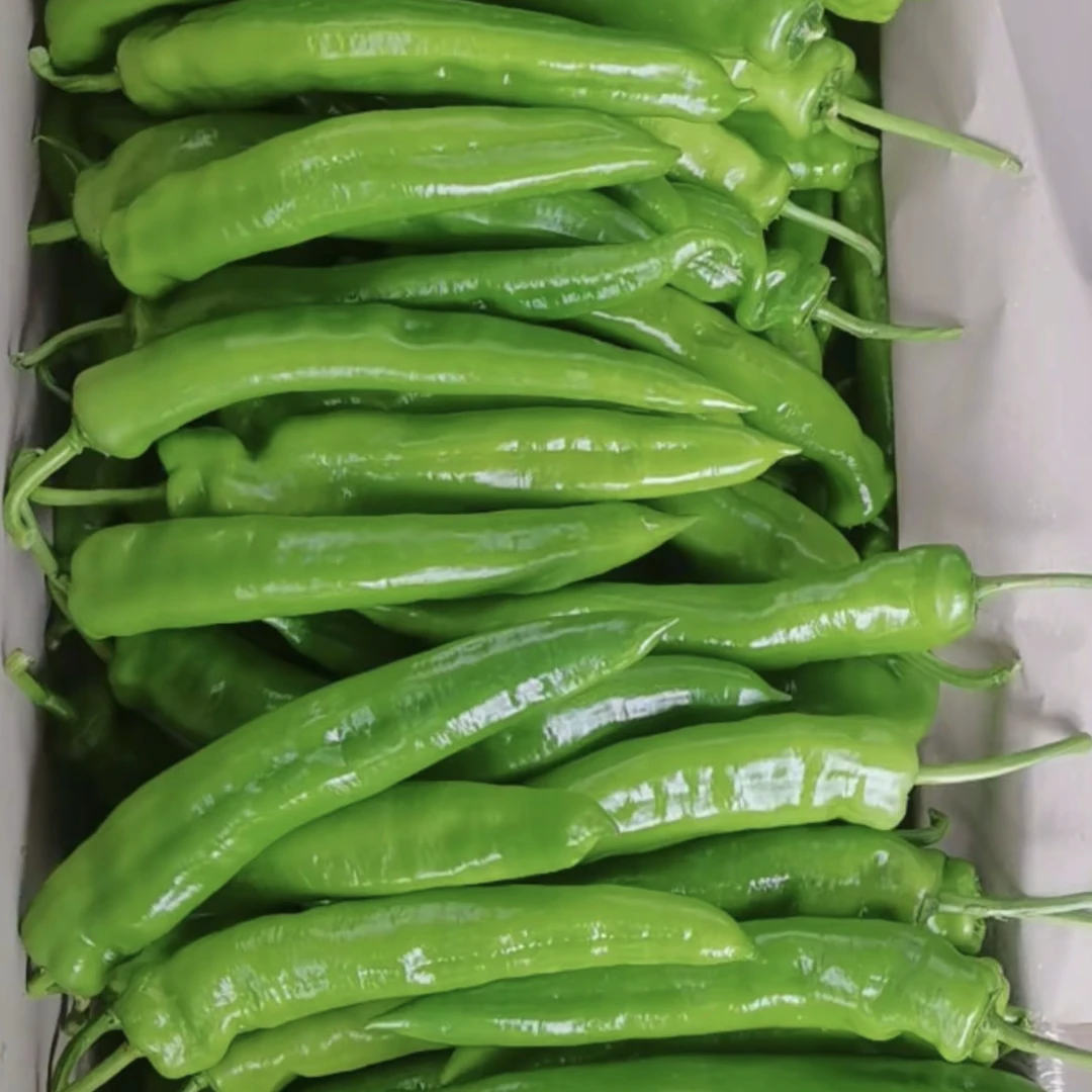 4.20日特价大尖椒两斤左右