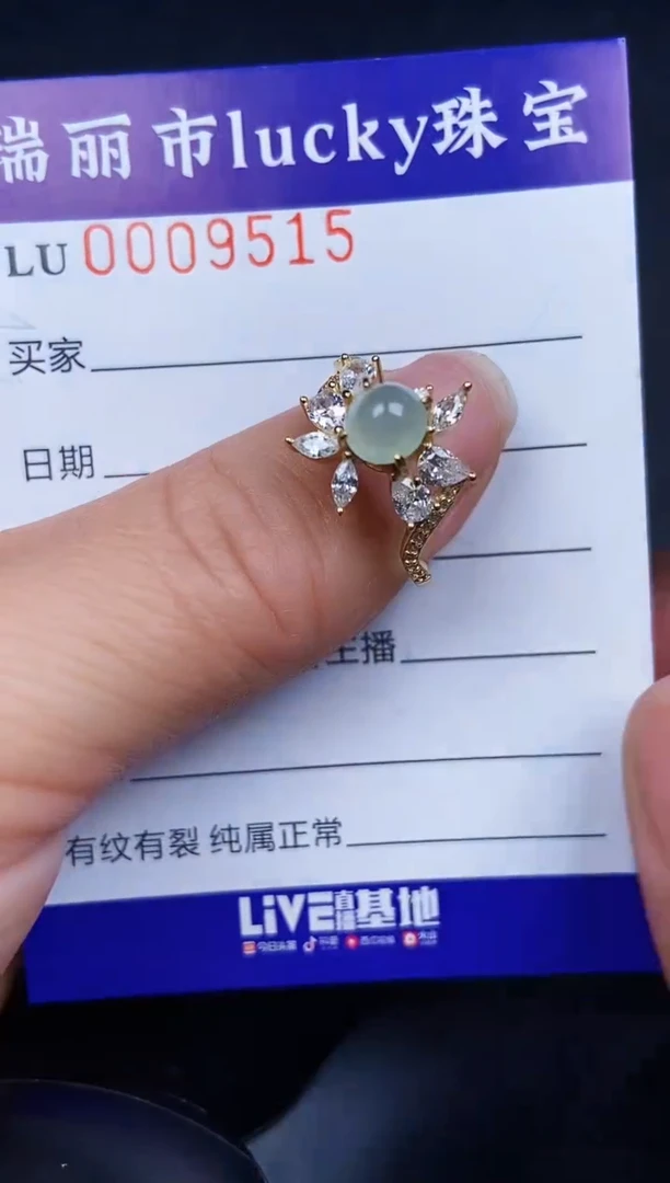 翡翠银S925镶嵌颈饰9515