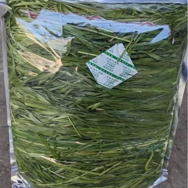 烘干提摩西兔兔爱吃主草