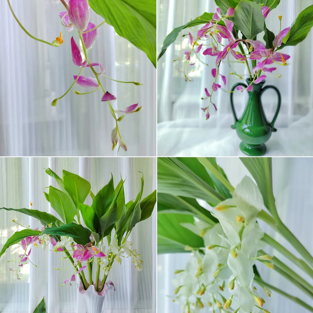 【一单不售后|舞花姜】新手友好 热带花材花期长 稀缺花材 鲜切花