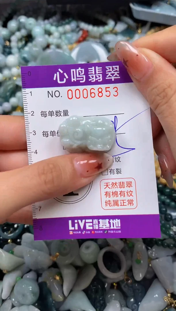翡翠未镶嵌颈饰闪购006853