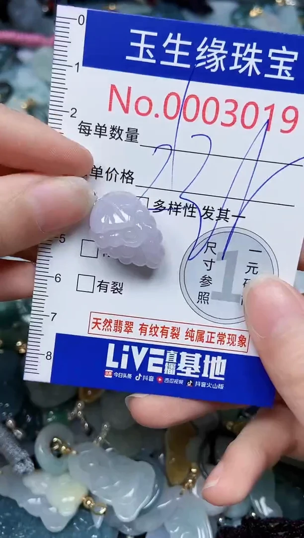 【闪购商品】翡翠颈饰未镶嵌闪购00003019