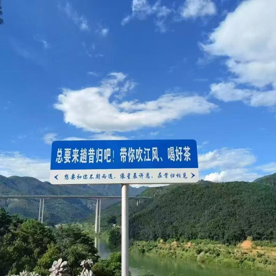 高货上新 2019年 昔归忙麓山古树纯料 200克盒装