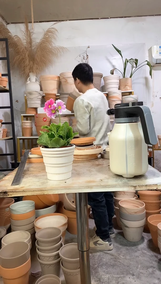 13*13白色竹节 2盆无托