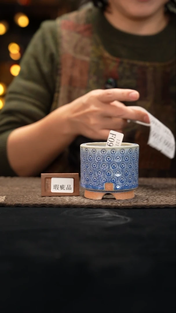 口径6花盆-12-13-093特