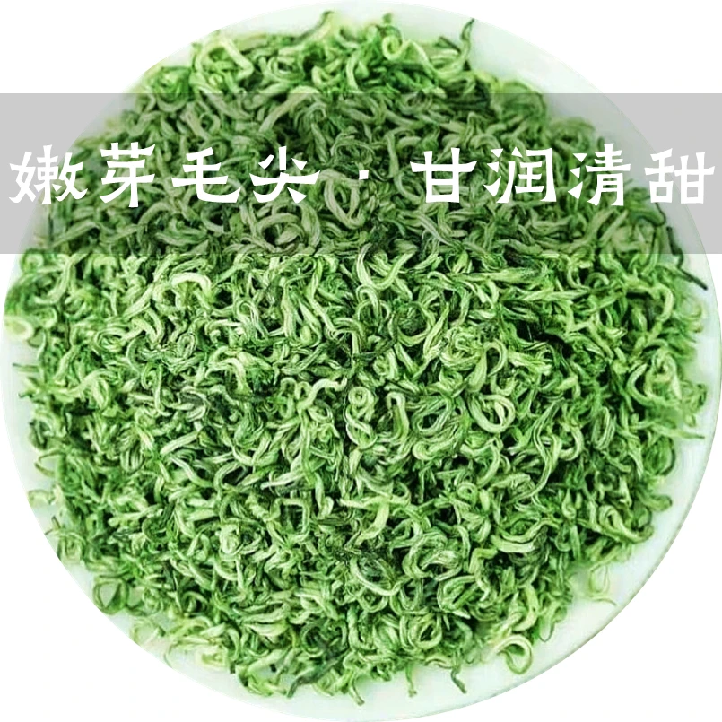 【2025年新茶】B03款正宗毛尖  栗香浓香型耐泡精选浓香型浓郁好茶