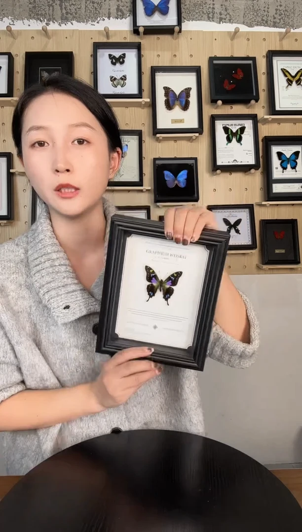 玫瑰青凤蝶蝴蝶装饰画7寸框