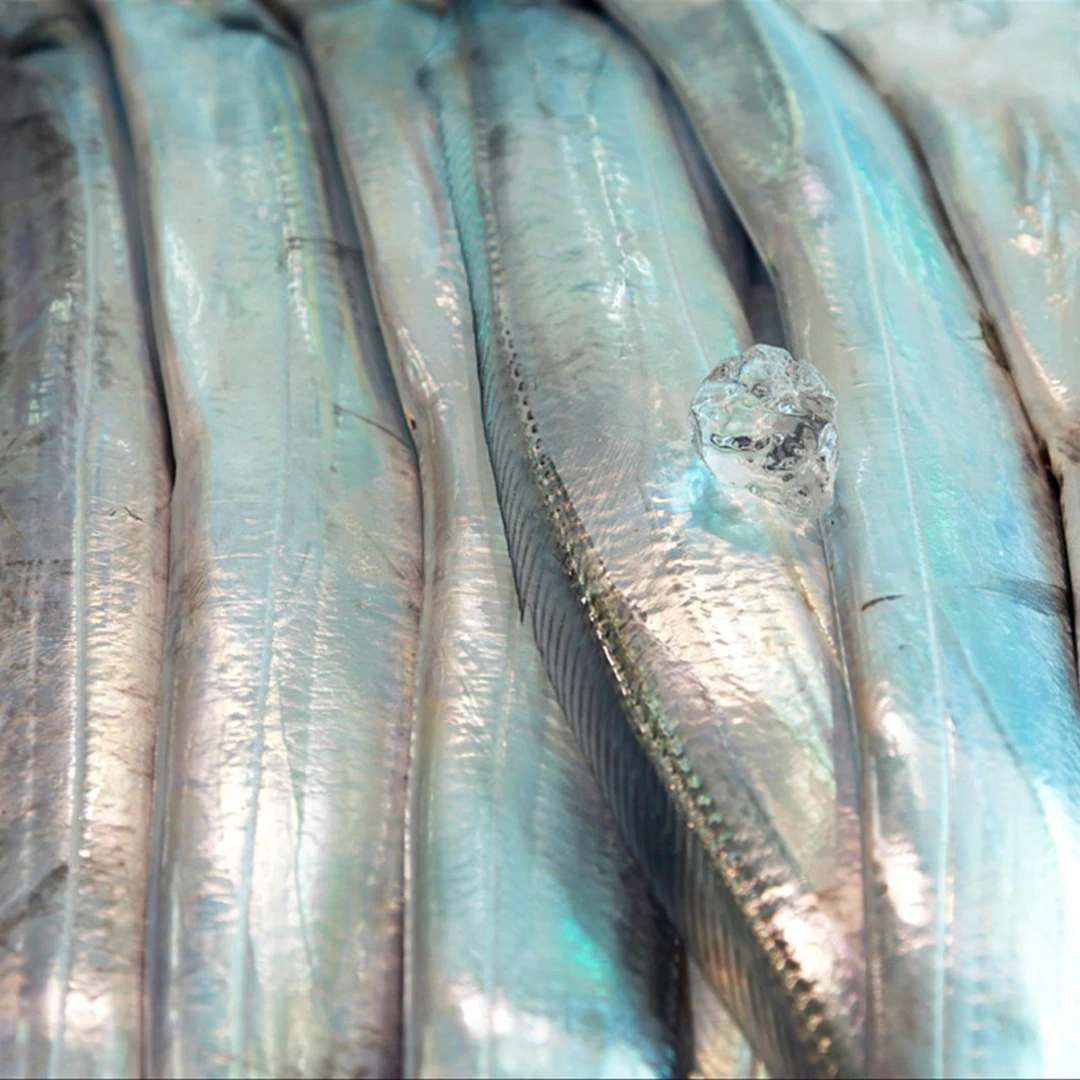 【莲姐】舟山小眼带鱼