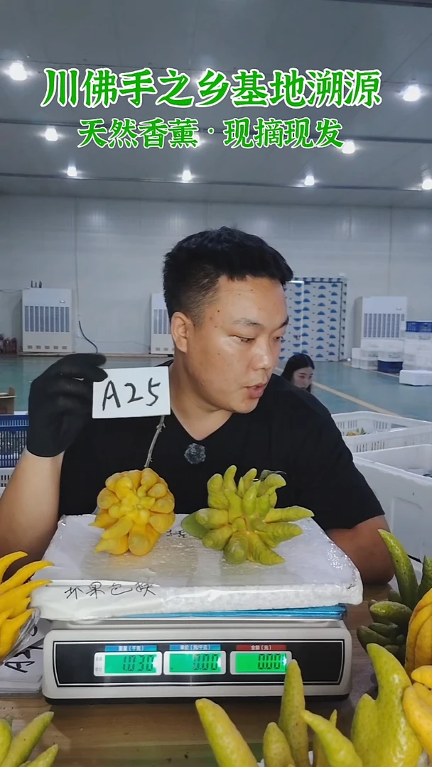 柑橘【一物一拍】川佛手柑鲜果A25
