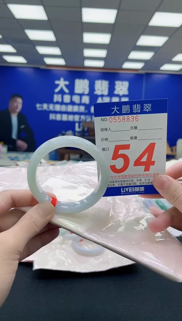未镶嵌手镯翡翠AAAAAAAAA
