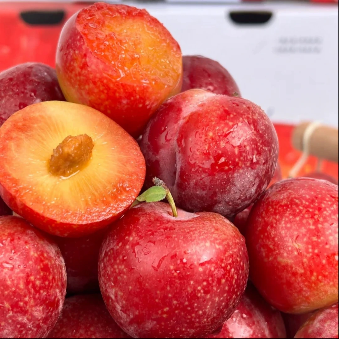 智利樱桃李原装5斤装4J