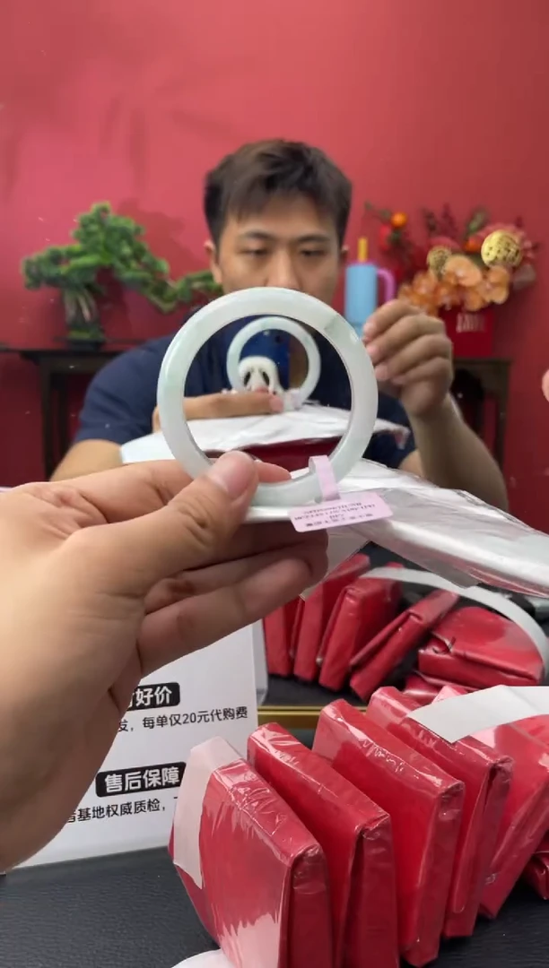 未镶嵌手镯翡翠4