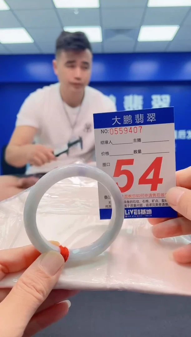 未镶嵌手镯翡翠AAAAAAAAA