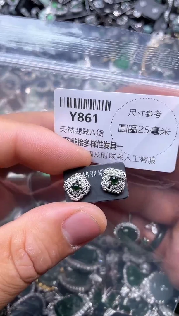【闪购商品】翡翠颈饰未镶嵌Y861耳钉