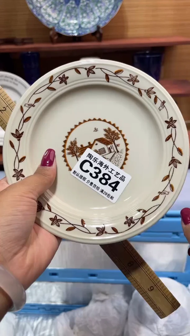 瓷片3****i              C384