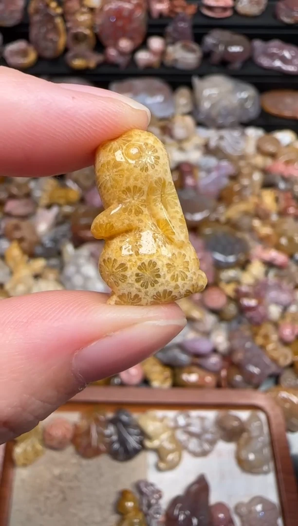 颈饰未镶嵌硅化珊瑚（珊瑚玉）332