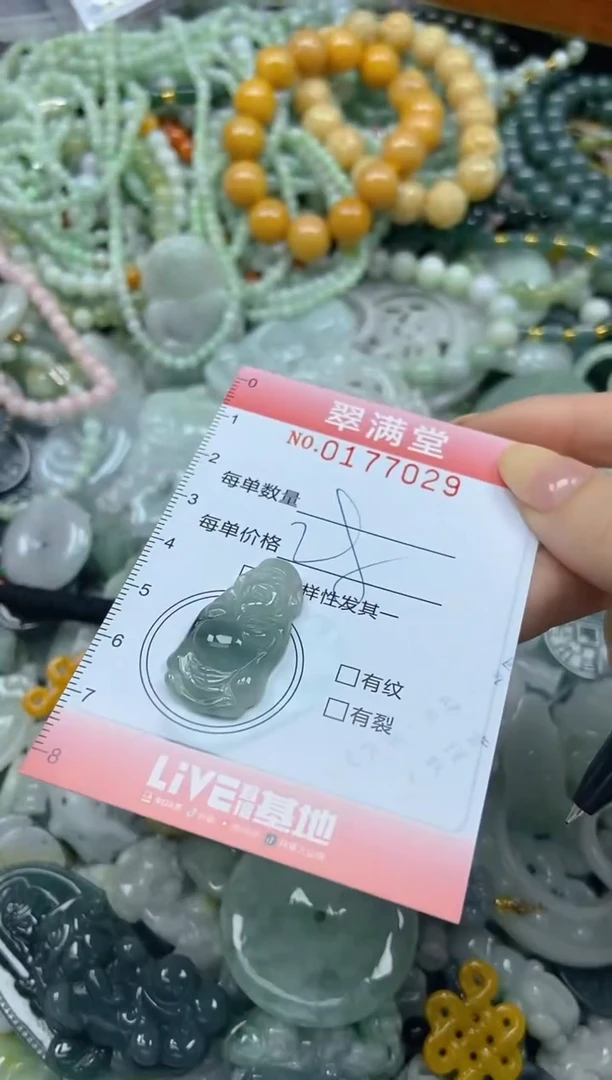 颈饰未镶嵌翡翠闪购0177029