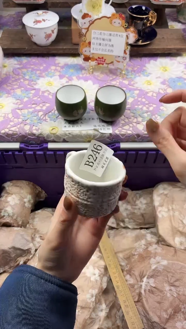 瓷片T***果                B246