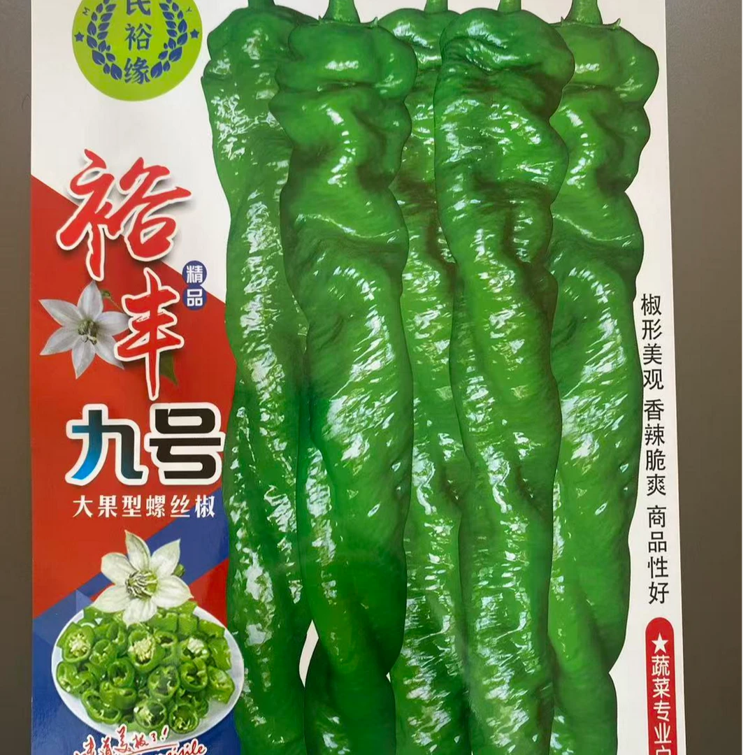 【裕丰9号】全螺麻面表面微气泡螺丝椒/露天大棚均可种植/产量高