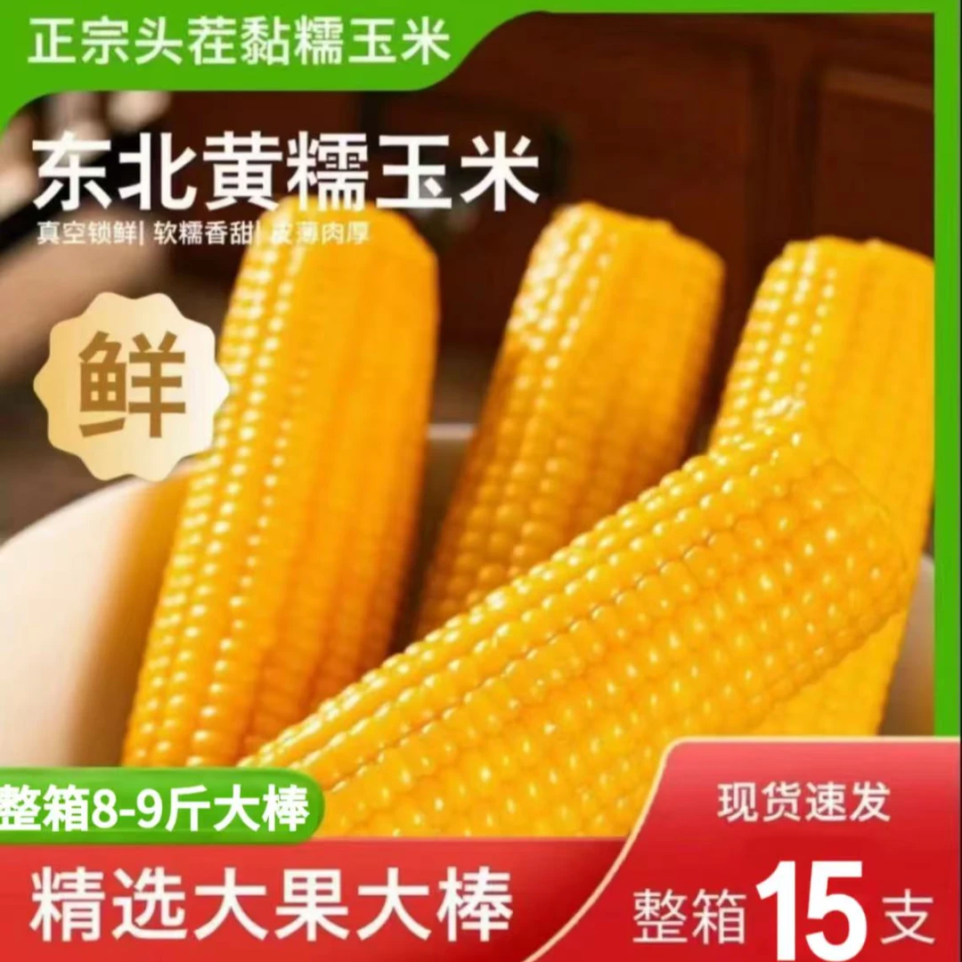 【15根8-9斤试吃5根】东北黄糯玉米/软糯香甜’真空锁鲜！