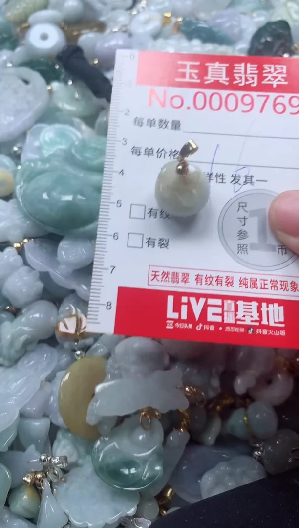 吊坠(不含链)未镶嵌翡翠9769