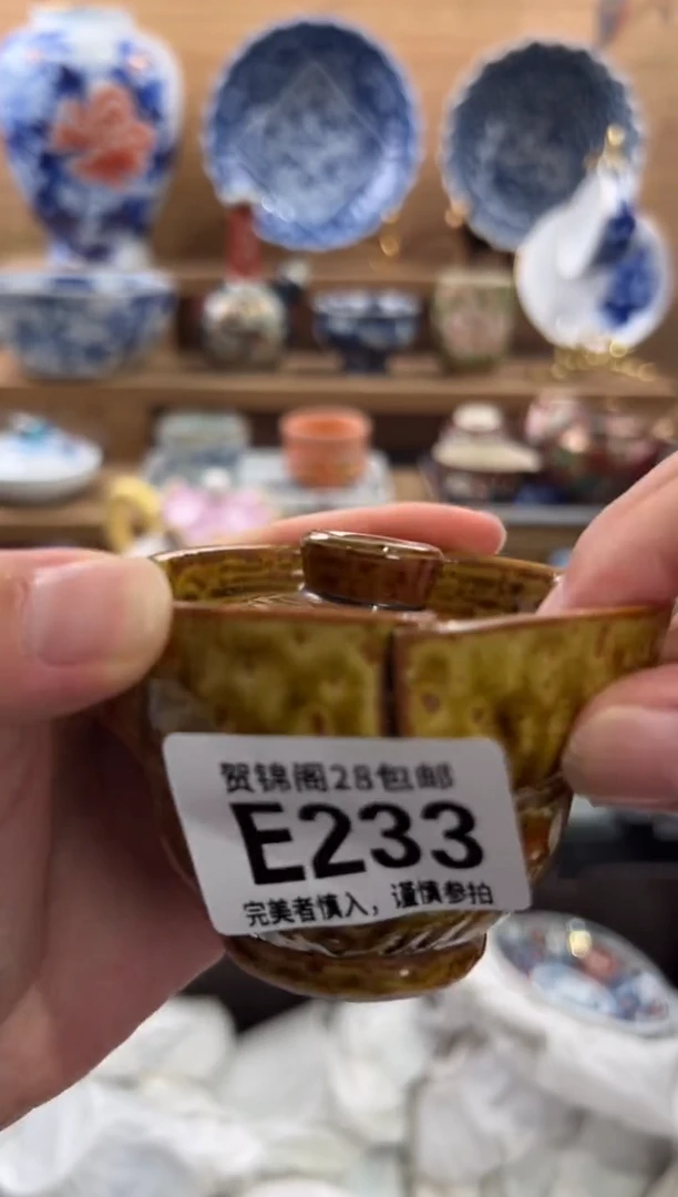 瓷片用*       E233