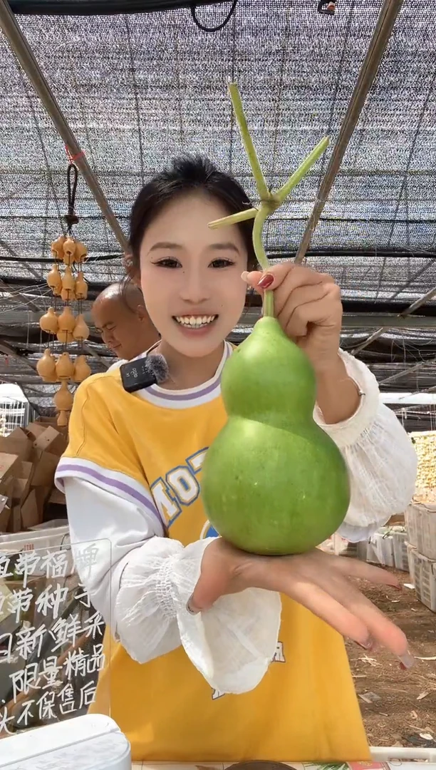844天然葫芦摆件 一物一拍龙头不保售后