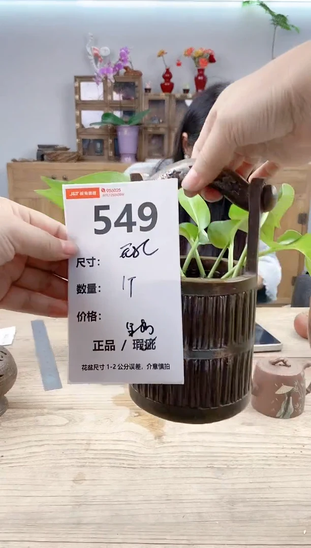 小玩子花盆直播号549