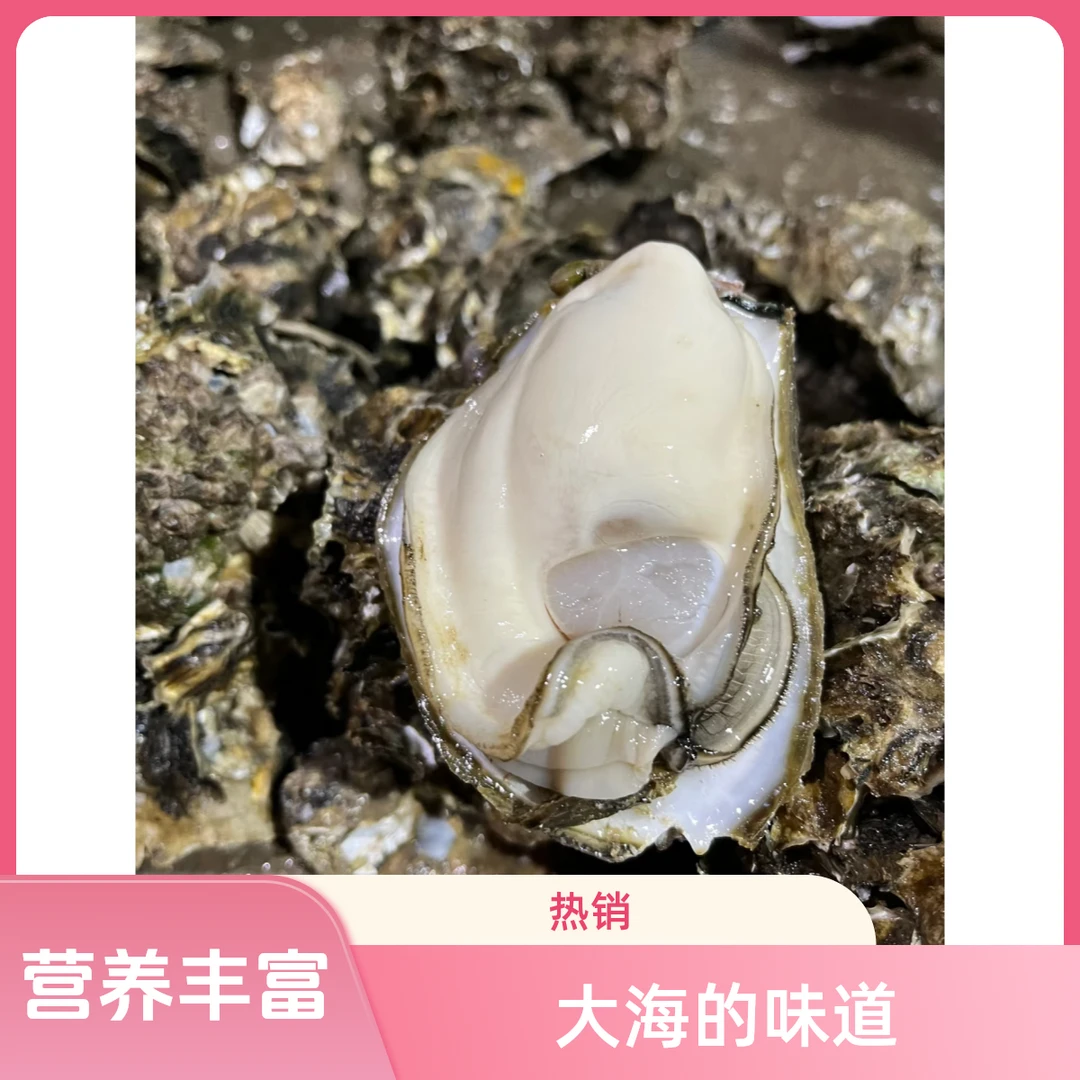 生蚝10个（送蘸酱）