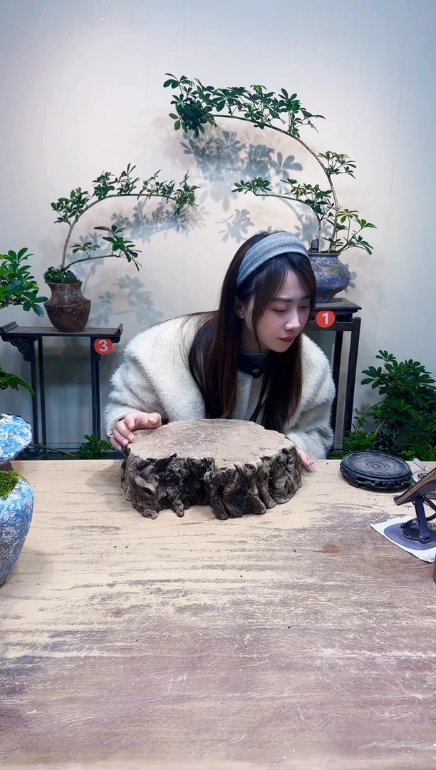 无花朵人**堂后面3号优惠价278